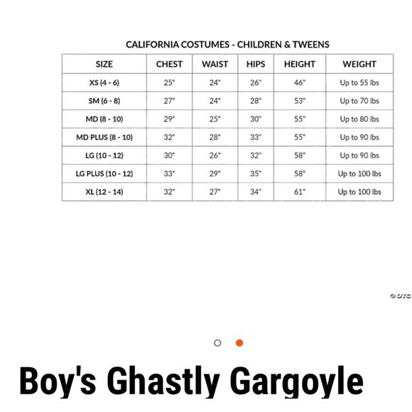 Child’s Gray Ghastly Gargoyle Long Sleeve Bodysuit and Wings Size M (8-10) - Picture 8 of 8